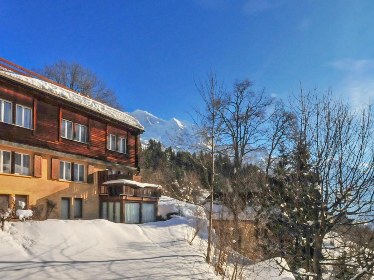 Apartment Schweizerhof-2 By Interhome Wengen Exterior photo